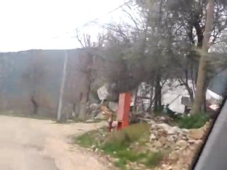 GÖKÇEYAKA KÖYÜ-FİNİKE (LEVENT)