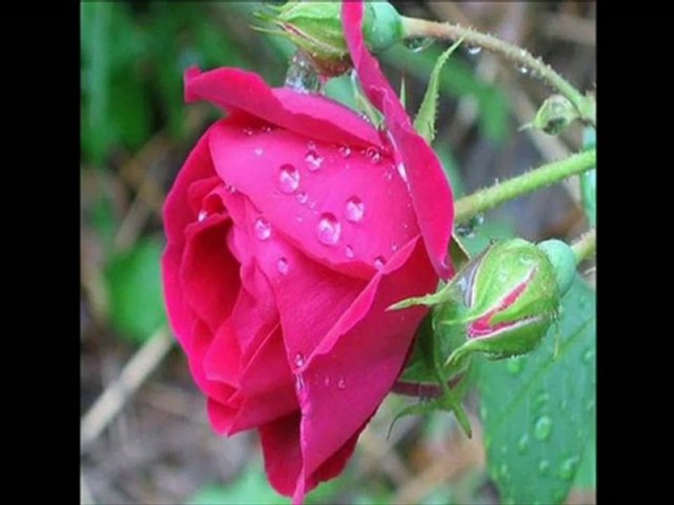 ASİN BENİ   - ALİ KİNİK_(360p)