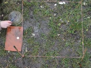 Cartographie des vers de terre - vidéo de participant