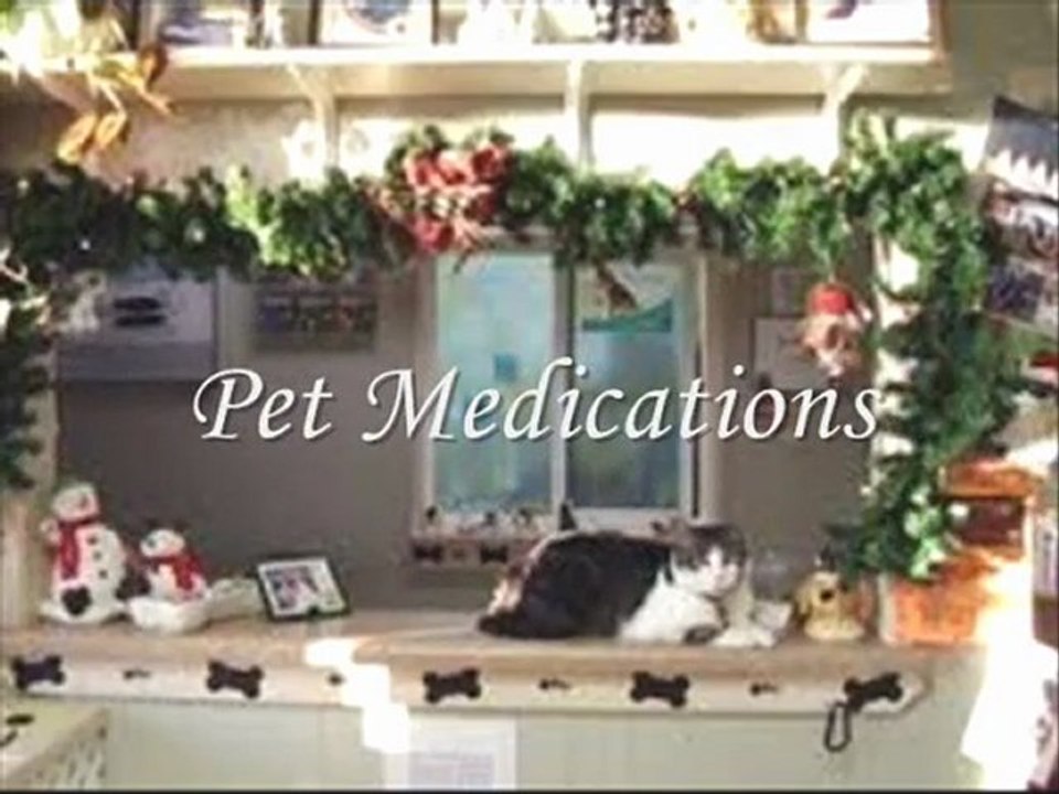 Pet Medications | Pet Meds For Less