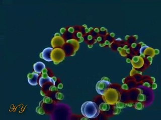 EVRİM PANELİ CEVAP 3 – EVRİM ANTİ-BİLİMDİR