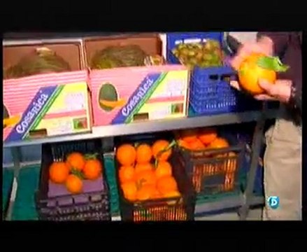 La cocina de Bioparc Valencia - Informativos Telecinco