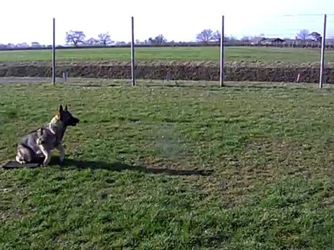 FLOW des Côteaux du Lys en ring