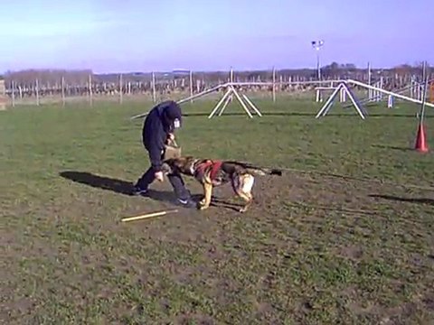 FLOW des Côteaux du Lys en ring