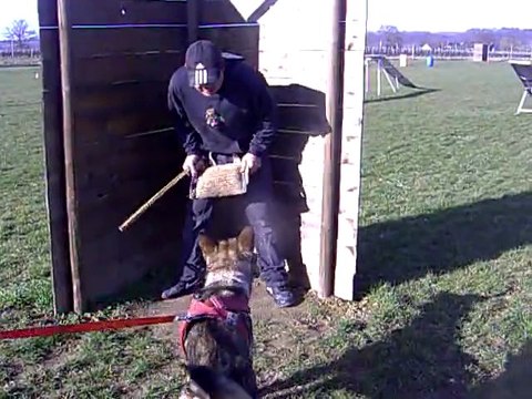 FLOW des Côteaux du Lys en ring