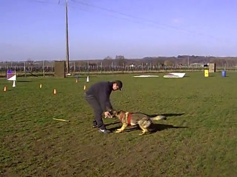 FLOW des Côteaux du Lys en ring