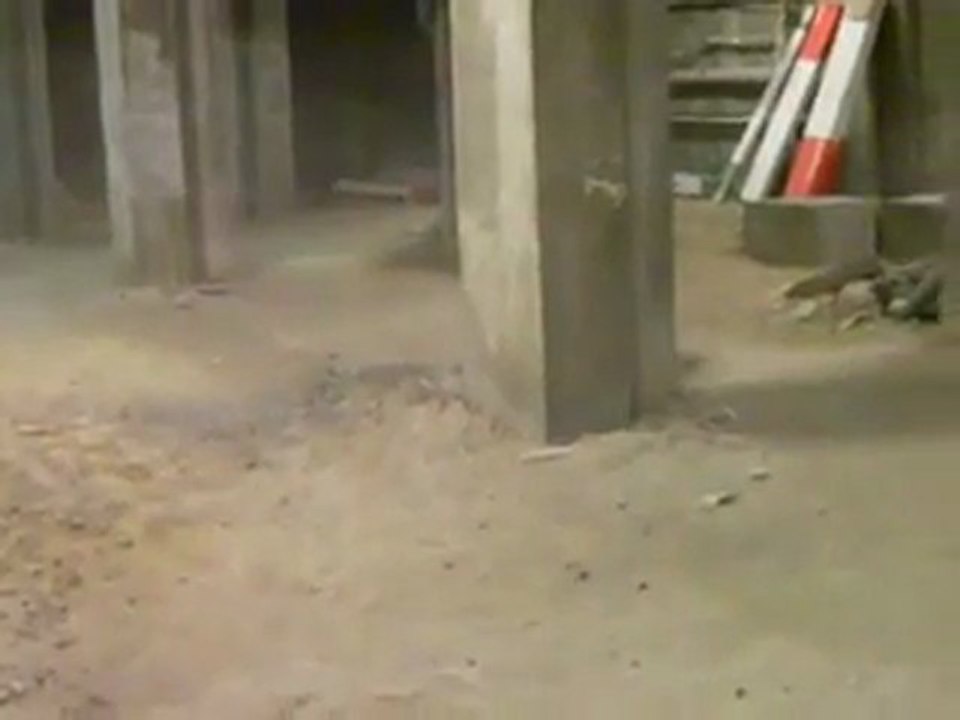 rc 1/12 tamiya midnight pumpkin _like a lunch box _03.wmv