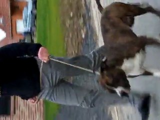 Fight Angels Of Paradise