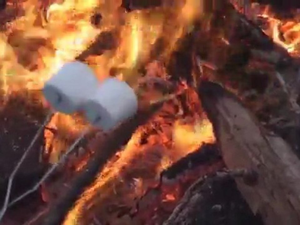 Bonfire Roasting Marshmellows