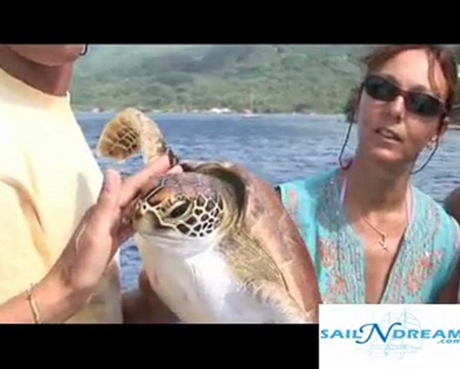 Location de voilier à Tahiti - Sailndream