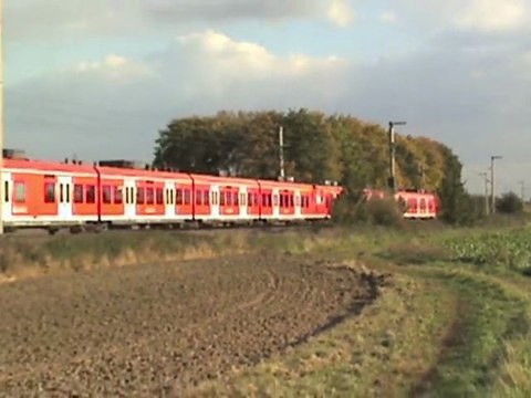 Walberberg Brühl 2x BR185, 2x BR101, 2x BR146, 2x BR425, 2x BR460