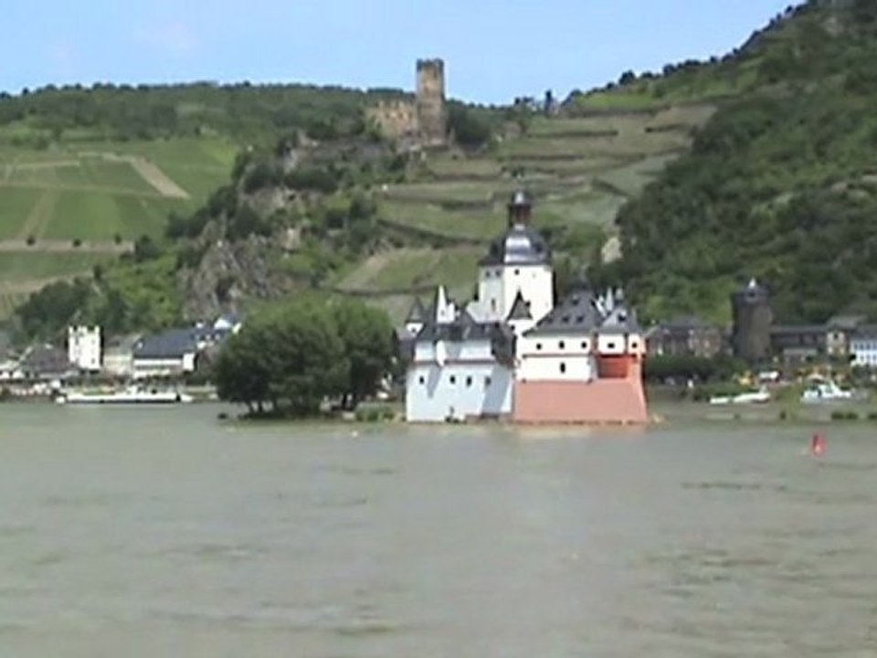 SBB Cargo Re482, BR185, 2x BR143, Rheinschiffe und die Rheinfähre bei Kaub