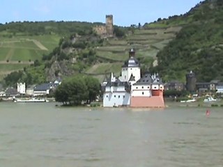 SBB Cargo Re482, BR185, 2x BR143, Rheinschiffe und die Rheinfähre bei Kaub