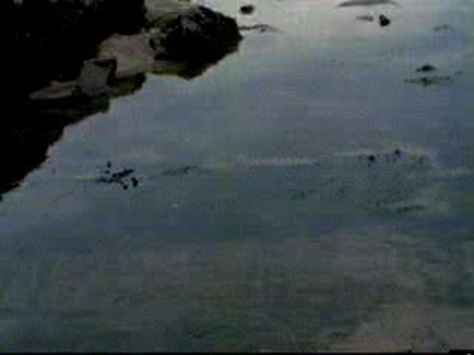 (warp CLIP) APHEX TWIN - On