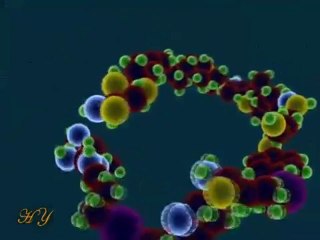 EVRİM PANELİNE CEVAP: EVRİM ANTİ BİLİMDİR.