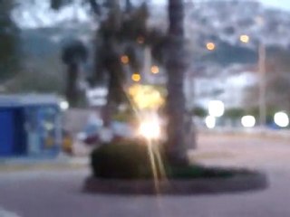 kuş sesleri-FİNİKE(Levent)