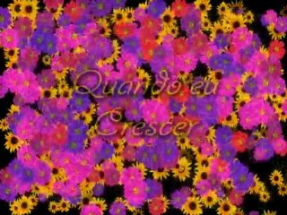 Via Mulher do dia 7, 10 e 13-03-2012