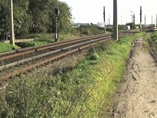 Brühl Hürth - Fischenich HGK Mak 1002, 3x BR644 und diverse Straßenbahnen