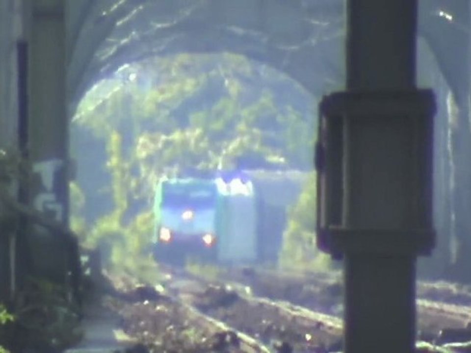 Kölner Südbrücke BR139, 2x Cobra E186, BR189, BR185, BR155, BR145