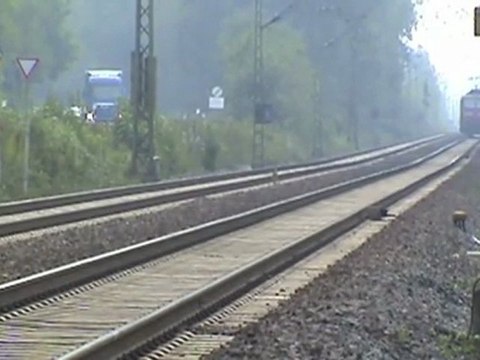 Rheinbreitbach Bad Honnef BR203 DB Netz, NIAG Re481, 2x BR143, 2x BR425