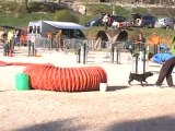Anouk Eden agility jump Ollioules 11 03 12