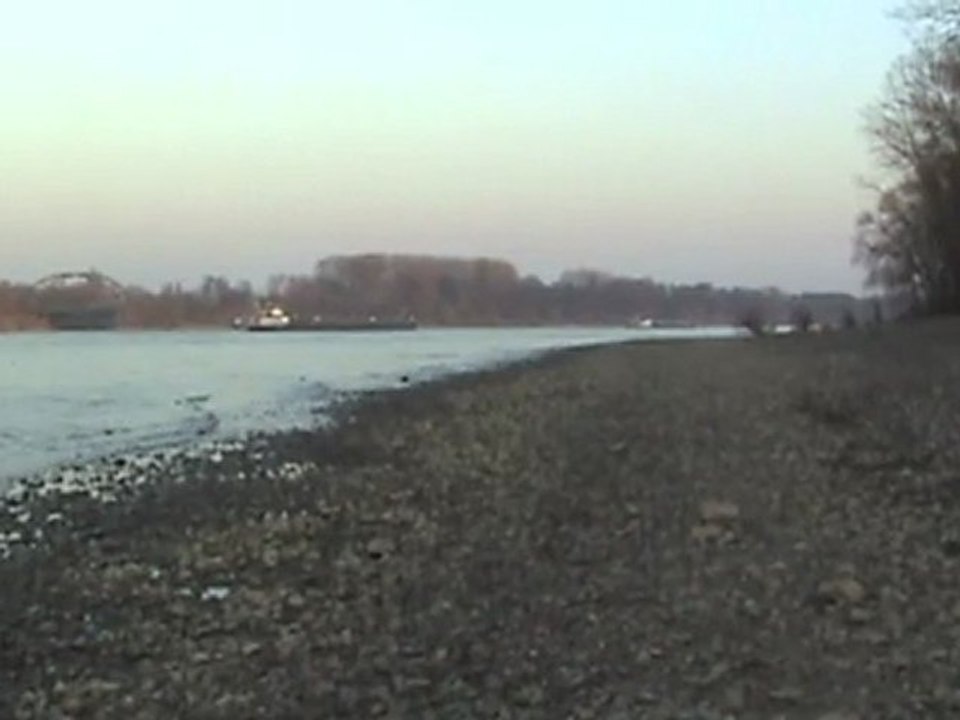 Andernach Neuwied Rheinschiffe, 3x BR185, BR143