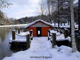 Atatürk Arboretumu-Kış