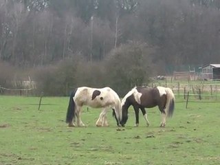 10.03.2012.h.integration