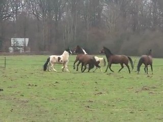 10.03.2012.e.integration