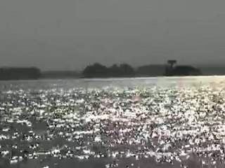 Rheinschiffe Rüdesheim - Bingen - Bingerbrück 2010