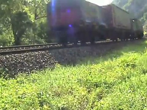 Südportale Loreley Tunnel, BR152, BR185, 3x BR143, Raddampfer Goethe, Rheinschiffe