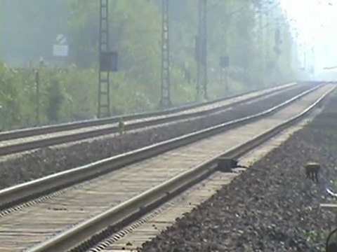 Bad Honnef - Rheinbreitbach, BR140, 2x BR143, 2x BR425