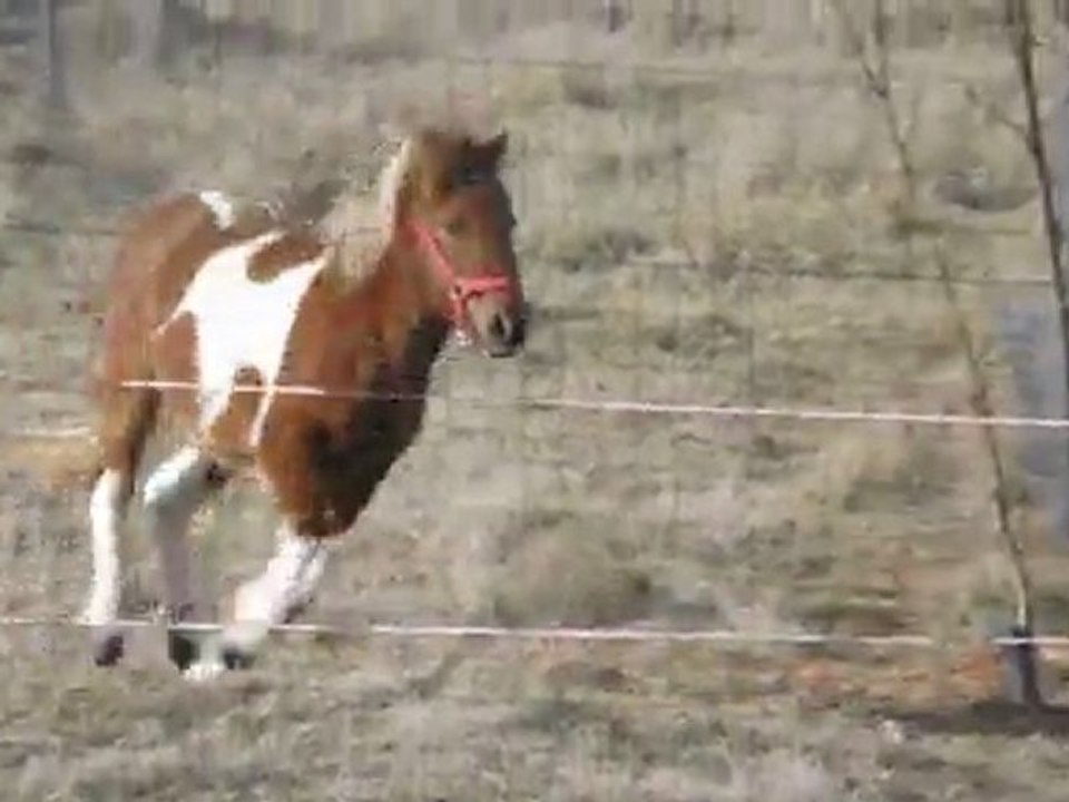 Cheyenne 11 mars 2012
