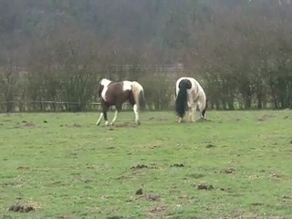 10.03.2012.j.integration