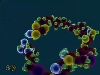 EVRİM PANELİ CEVAP 3 -- EVRİM ANTİ-BİLİMDİR