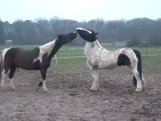 10.03.2012.s.integration