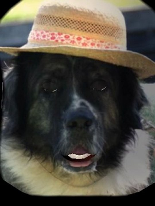 Le Parrain : Don Comanche !