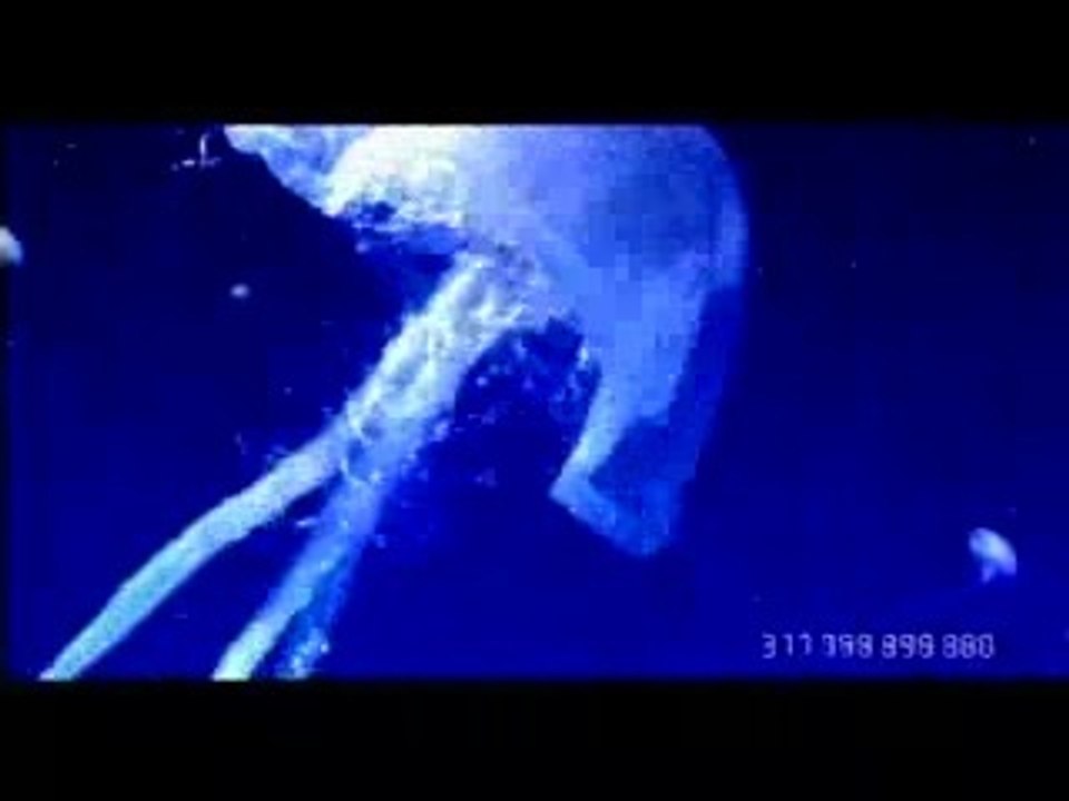 Fatboy Slim - Right here, right now