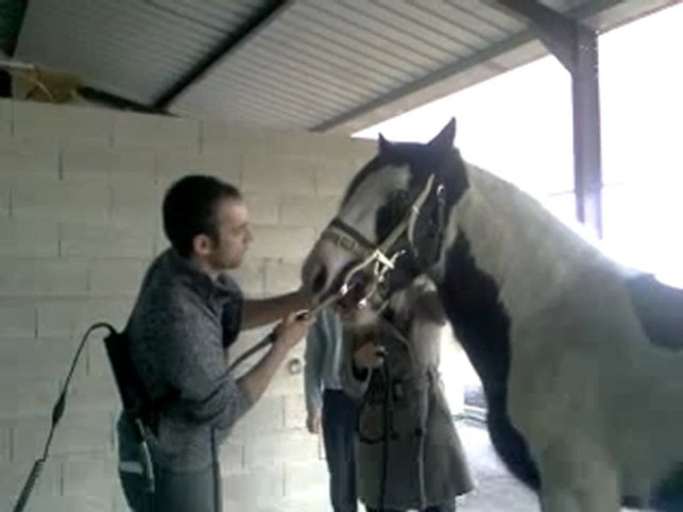 Scoubidou chez le dentiste