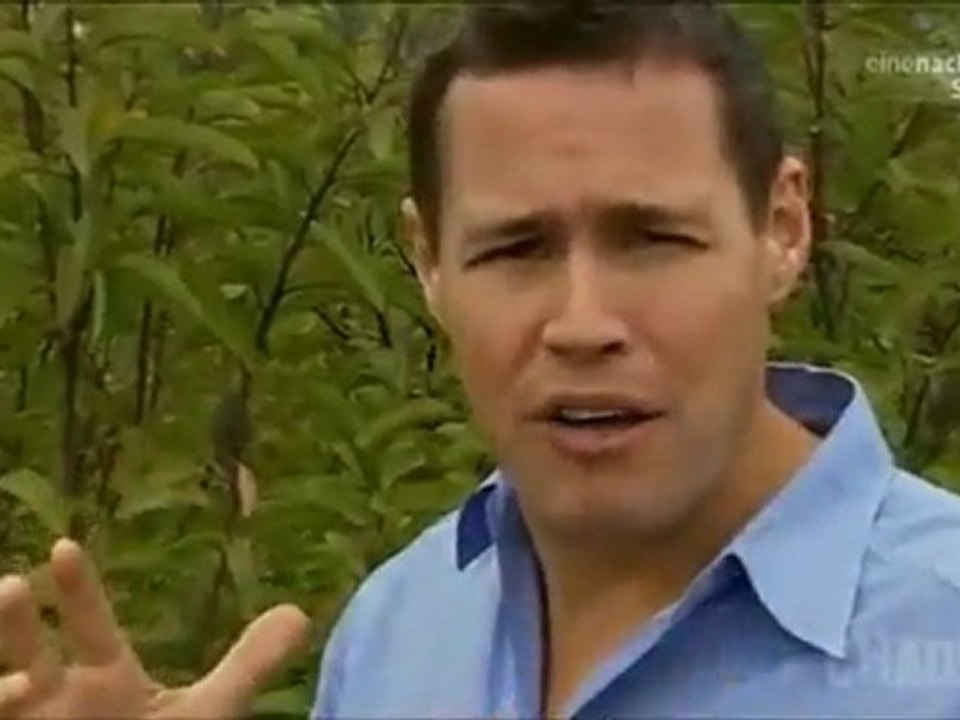 Vor 65 Mio Jahren - Titanen der Urzeit - Saurier und Riesenkraken _Teil 1 von 3