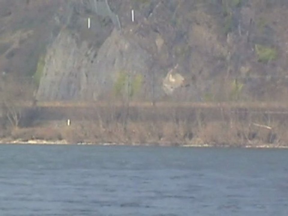 Brohl Lützing Rheinbrohl, SNCF Prima, BR294, BR425, 2x BR143