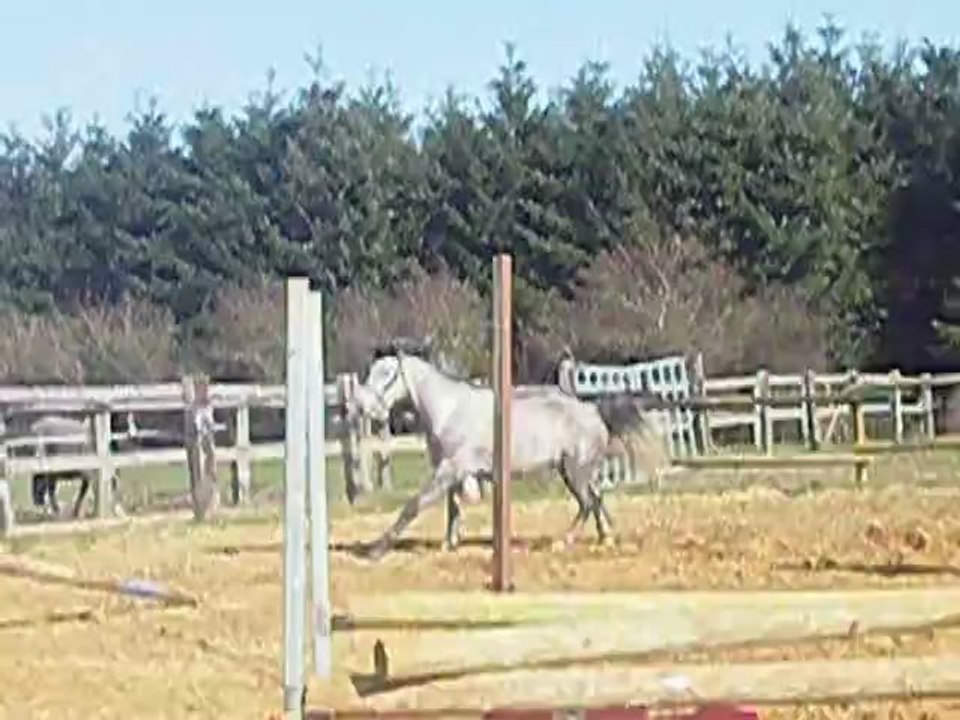 Vacadam Star Troidés le 12/03/2012