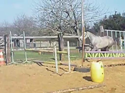 Vacadam Star Troidés le 12/03/2012 .