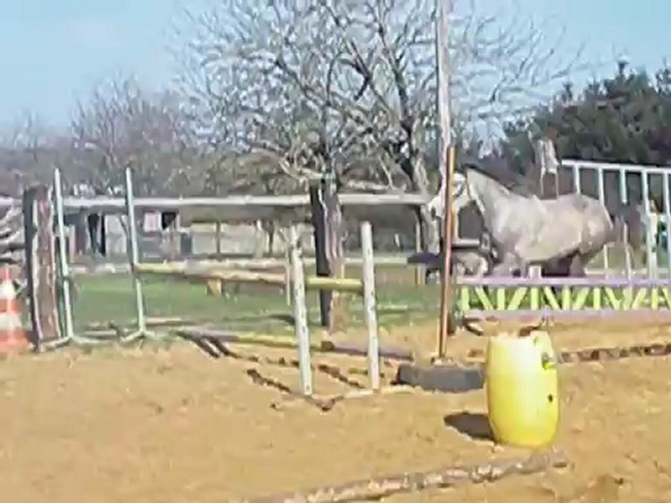 Vacadam Star Troidés le 12/03/2012 .