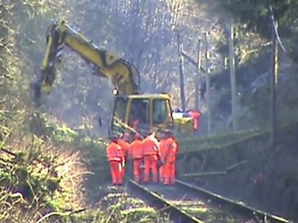 Aufräumungsarbeiten Eifelquerbahn nach Orkan Xynthia Teil 006