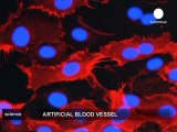 Des vaisseaux sanguins artificiels