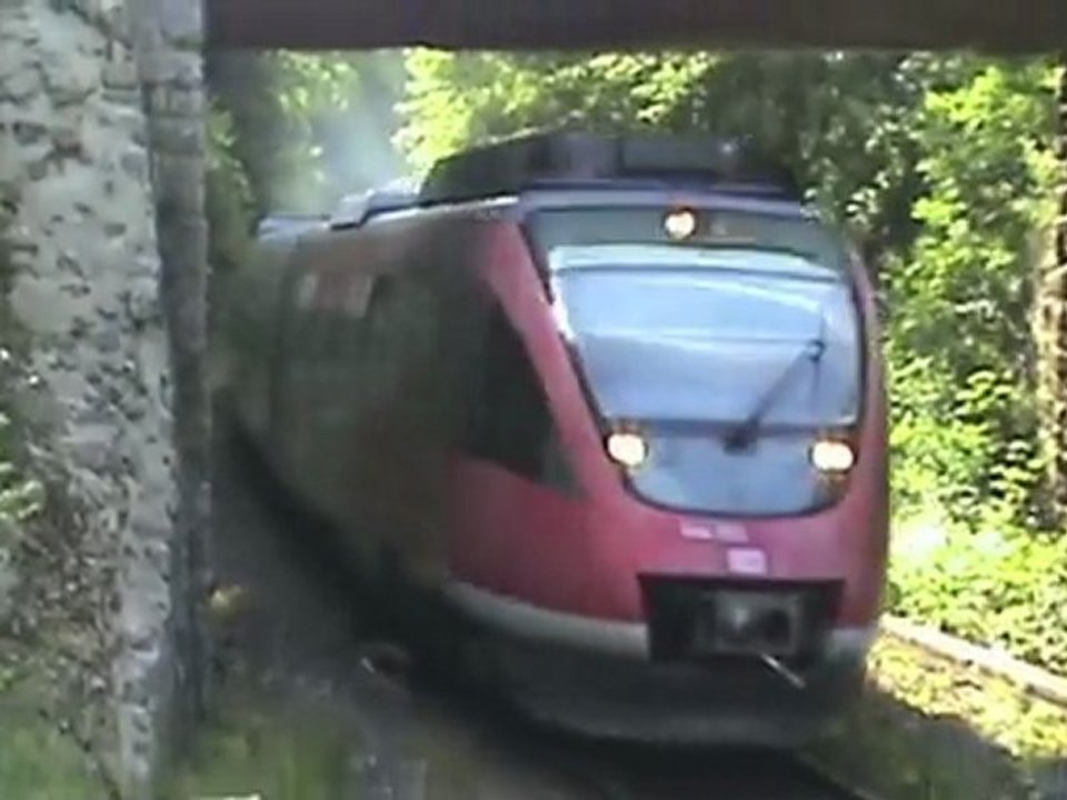 V100, V60, 2x BR628, diverse BR644 zwischen Urft und Nettersheim