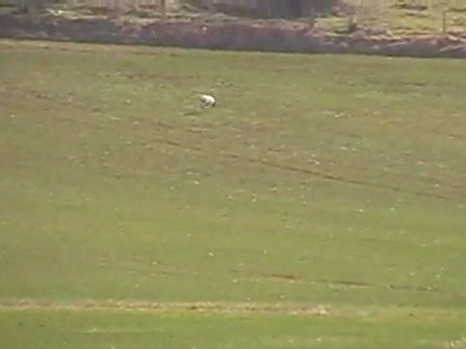 video costes Joel brevet du mas d'azil 2012