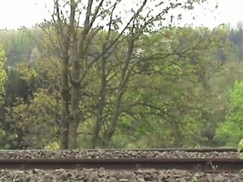 Dampflok 528106 Nassau Lahntalbahn, diverse Vectus Coradia Lint 41, BR612 und viel Natur