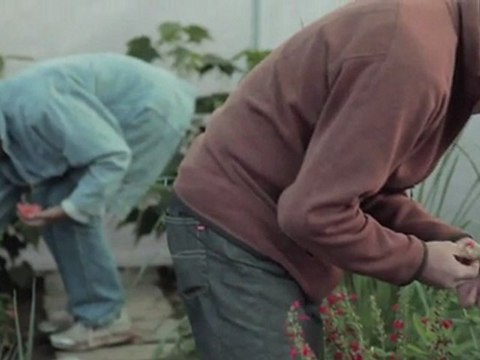 ENTRE LES BRAS LA CUISINE EN HERITAGE